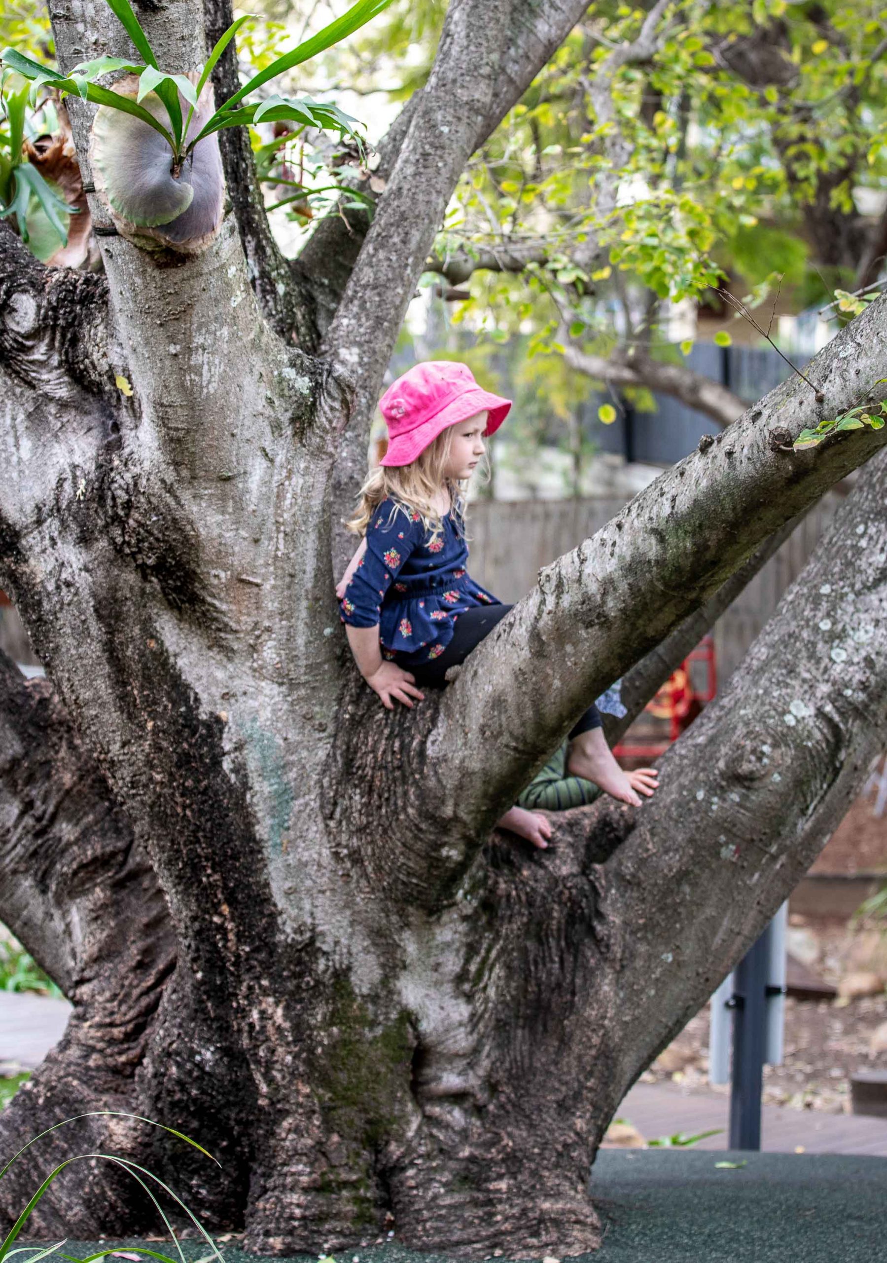 Classrooms at Harty Street Kindy